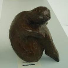 Loveniers Armand